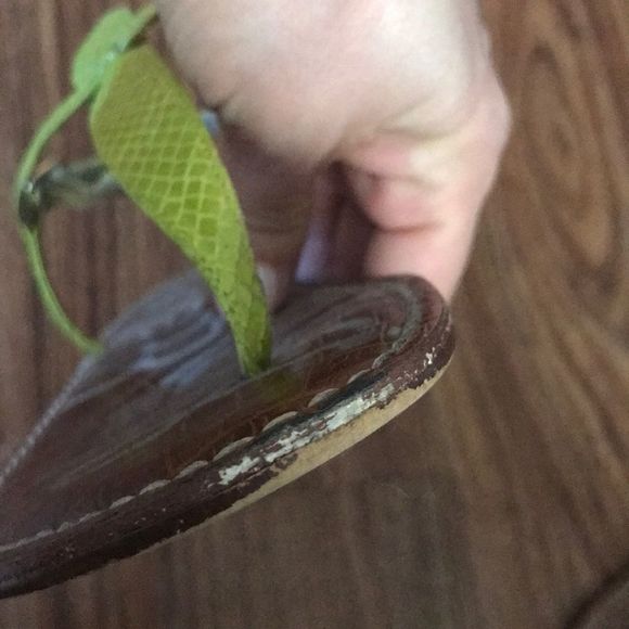 SAM EDELMAN Lime Green T-Strap Gigi Sandals - Picture 5 of 8